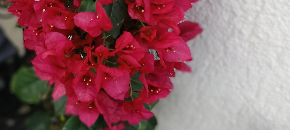 Bestattungen Graßnick