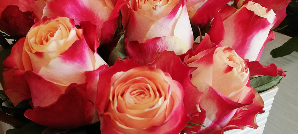 Bestattungen Graßnick