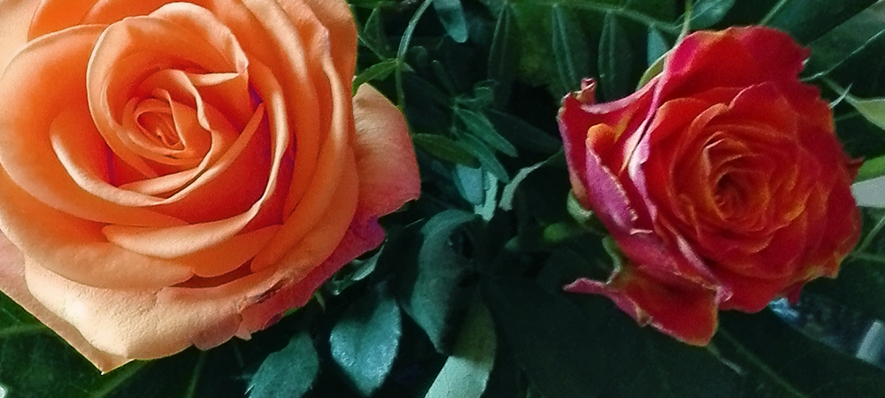 Bestattungen Graßnick