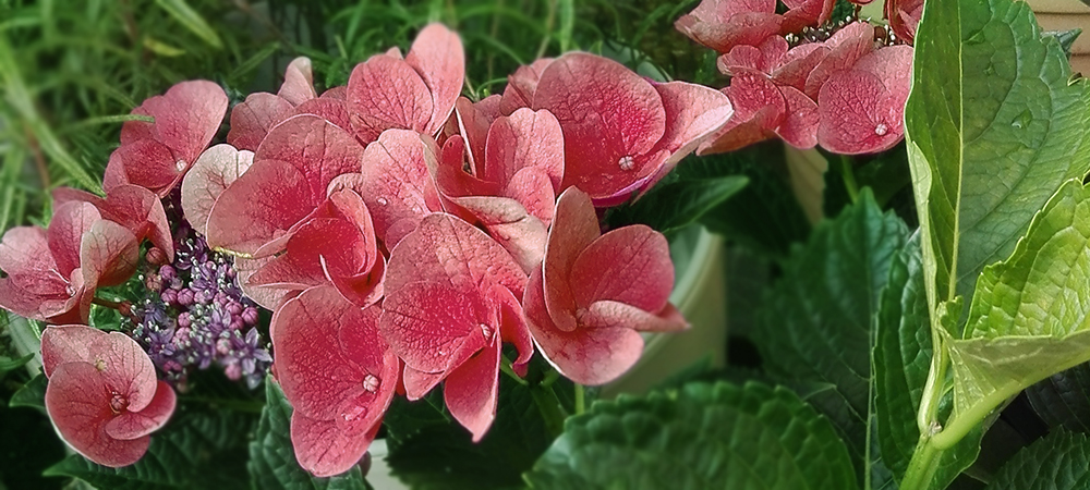 Bestattungen Graßnick